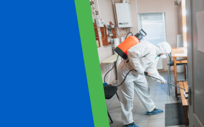 Why Investing in Pest Control is a Smart Move for Homeowners and Businesses