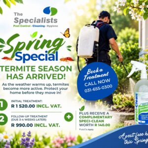 Spring Special